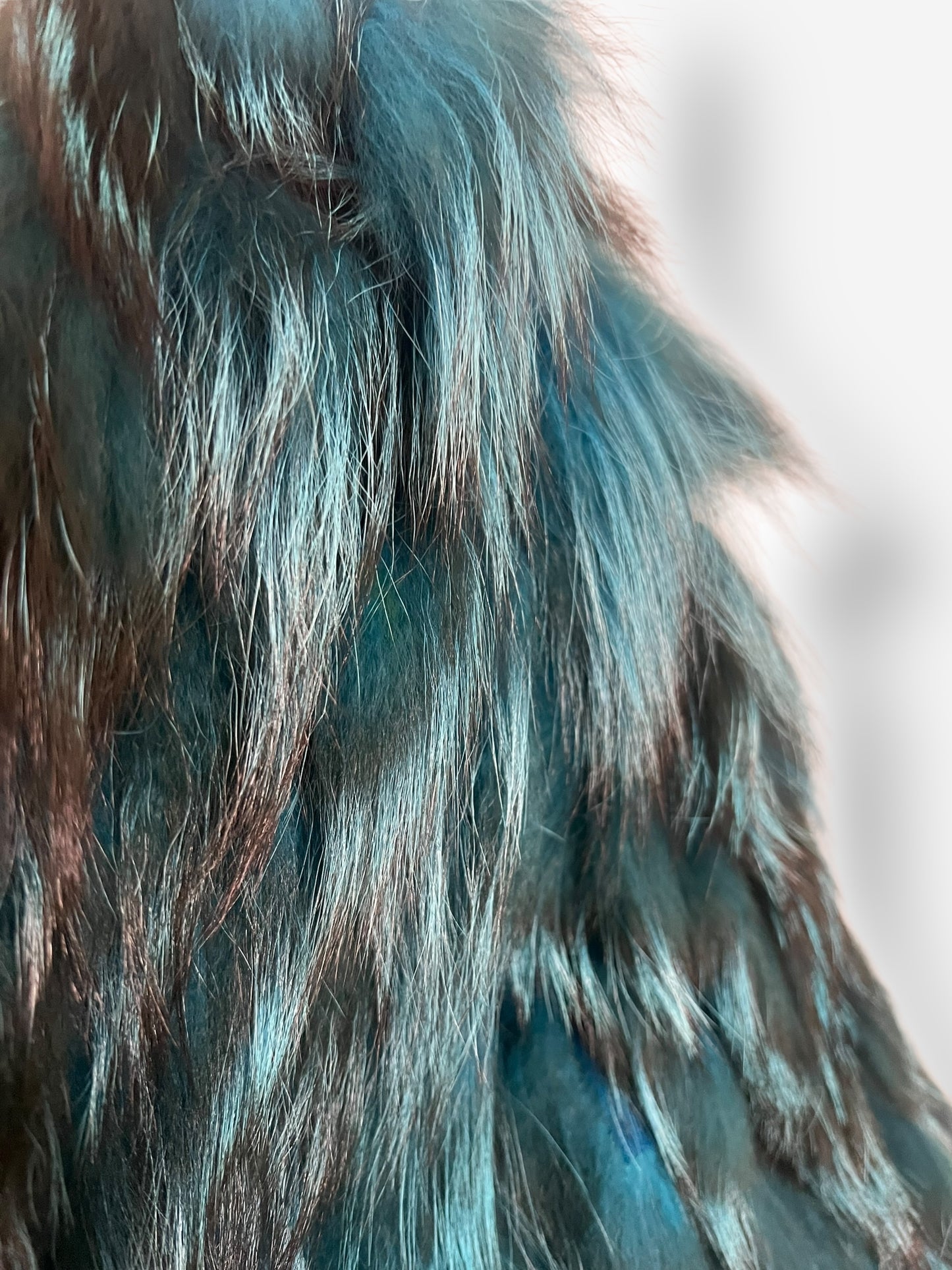 Roberto Cavalli Fall/Winter 2000 Runway Fox Fur Coat