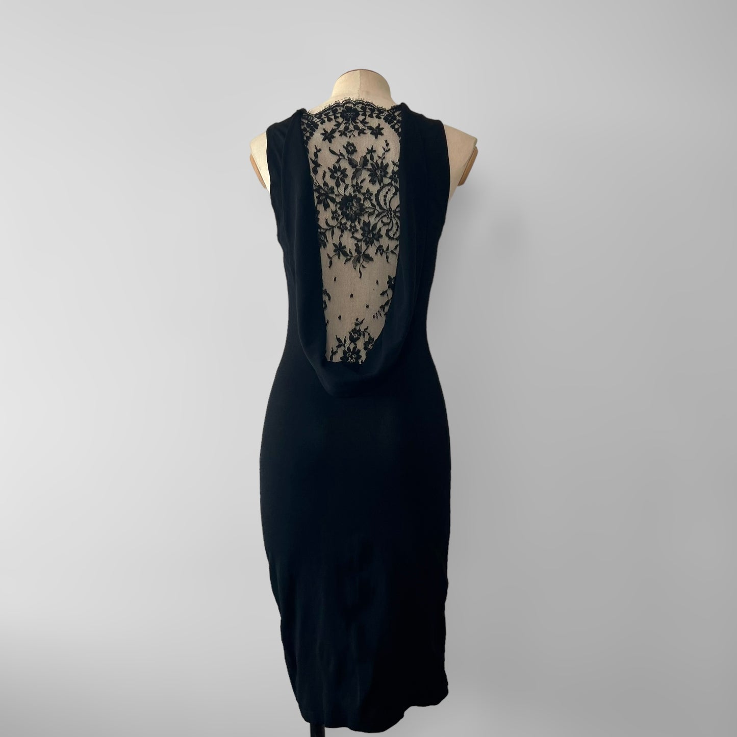 Alexander McQueen lace back dress