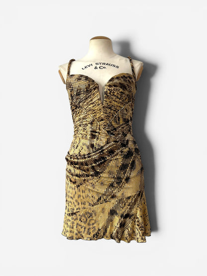 Roberto Cavalli Snake Print Corset Mini Dress, Fall Winter 2003